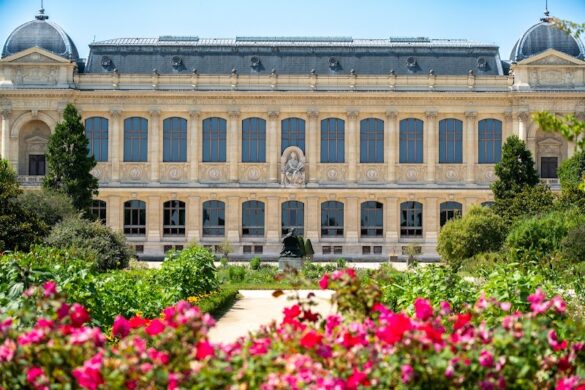 Jardin Des Plantes - SillySuitcase