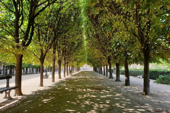 Jardin Du Palais Royal - SillySuitcase