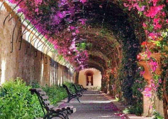 Jardines De Monforte - SillySuitcase