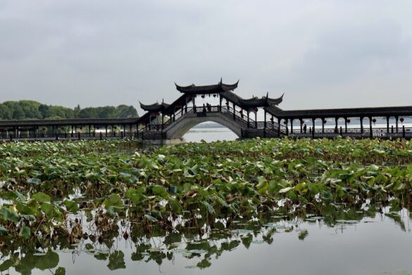 Jinxi Ancient Town - SillySuitcase