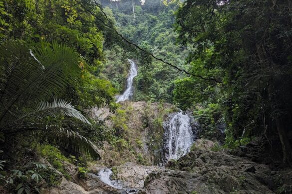 Khao Phanom Bencha National Park - SillySuitcase