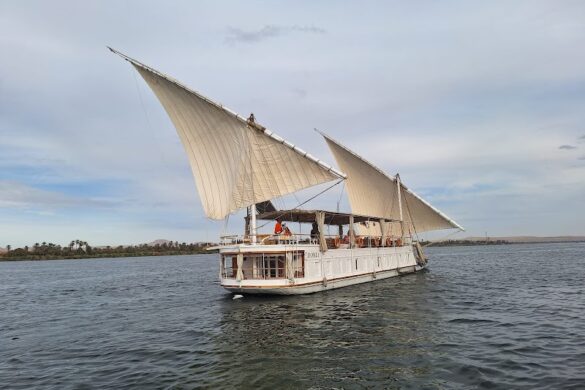 Kingfisher Tours Egypt - SillySuitcase