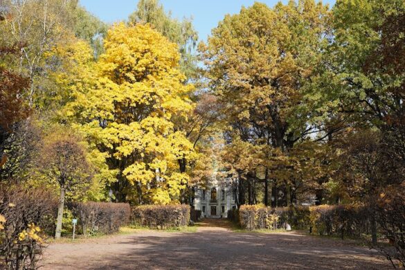 Kuskovo Estate Museum - SillySuitcase