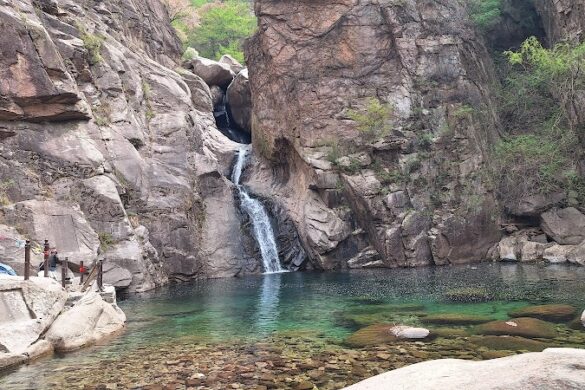 Laoshan Beijiushui - SillySuitcase