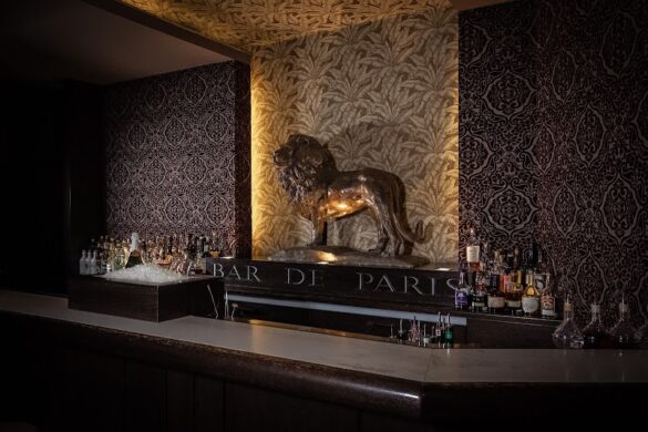 Le Lion Bar De Paris - SillySuitcase