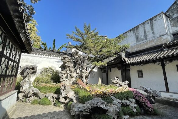 Lion Grove Garden - SillySuitcase