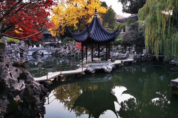 Lion Grove Garden - SillySuitcase