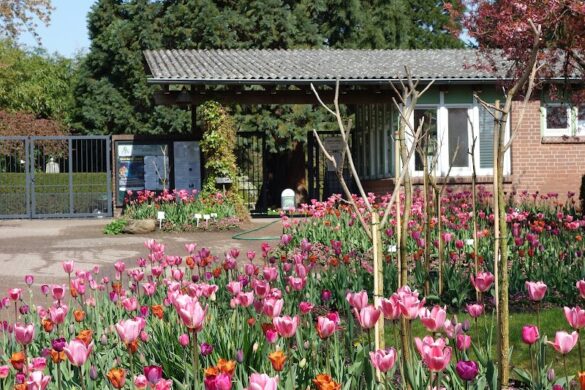 Loki Schmidt Garden Botanical Of University Hamburg - SillySuitcase