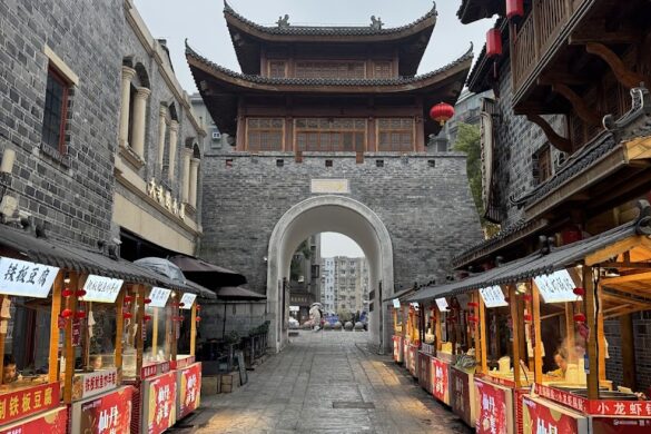 Longevity Palace History Block - SillySuitcase