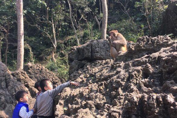Longhu Mountain - SillySuitcase