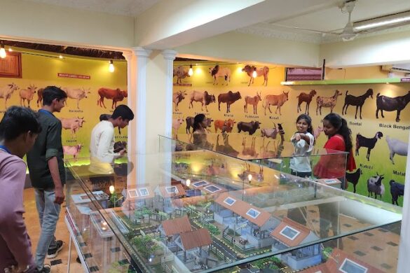 Mafsu Museum - SillySuitcase