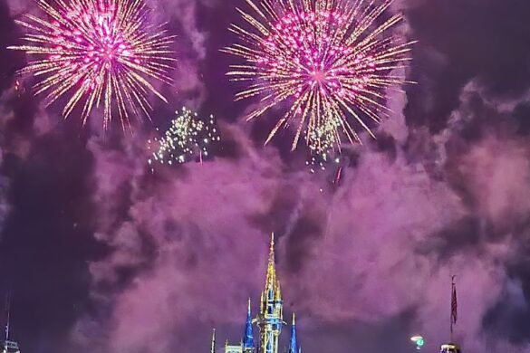 Magic Kingdom Park - SillySuitcase