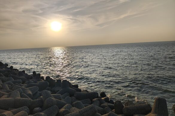 Marine Drive - SillySuitcase