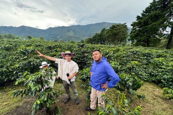 Medell N Coffee Farm Tour In Barrio La Sierra - SillySuitcase