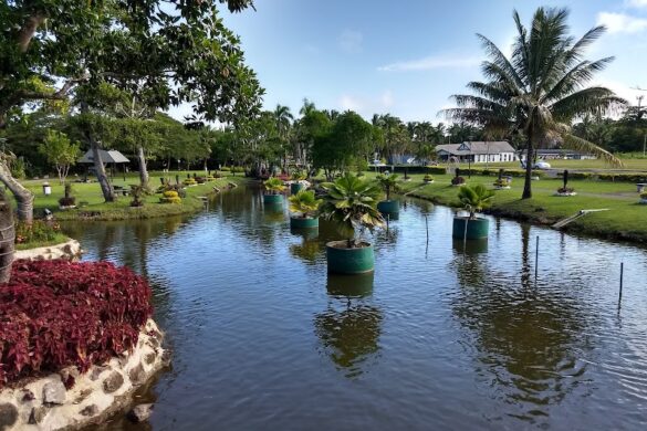 My Suva Park - SillySuitcase