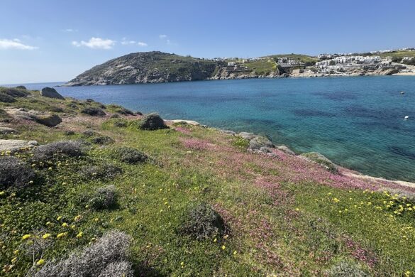 Mykonos Exclusive Tours - SillySuitcase