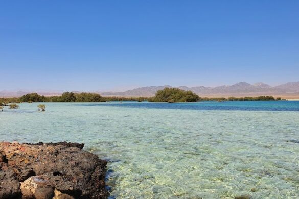 Nabq Nature Reserve - SillySuitcase