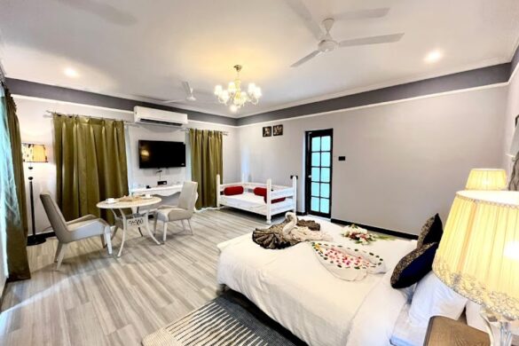Nagpur Tours And Travels Tourism Jungle Safari - SillySuitcase