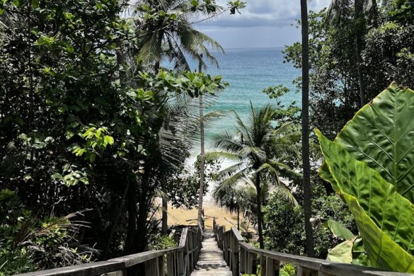 Naithon Beach Wooden Bridge - SillySuitcase