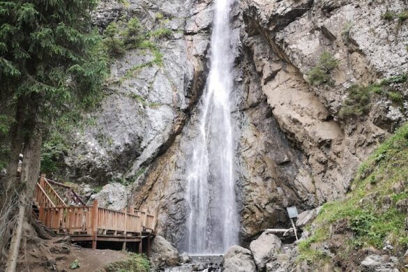 Nanshan Pasture Scenic Spot - SillySuitcase