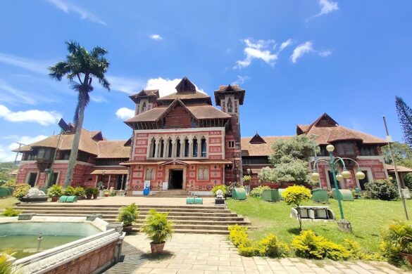 Napier Museum - SillySuitcase