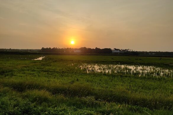 Nedupuzha Fishing Spot Seasonal - SillySuitcase