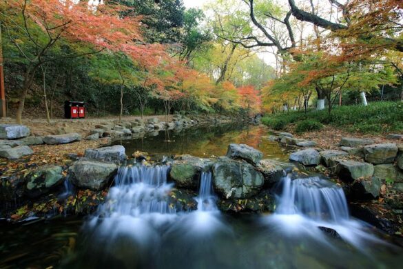 Nine Creeks In Misty Forest - SillySuitcase