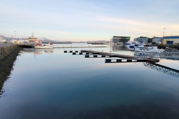 Old Harbour Souvenirs - SillySuitcase