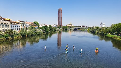Paddle Surf Sevilla - SillySuitcase