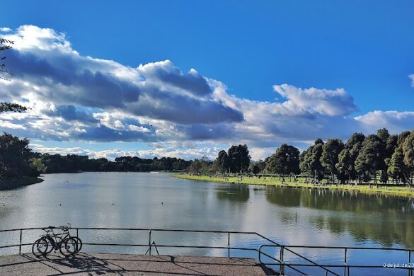 Parque Metropolitano Sim N Bol Var - SillySuitcase
