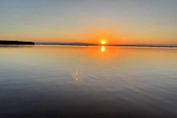 Parque Natural De La Albufera - SillySuitcase