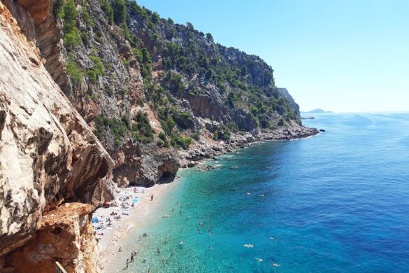 Pasja A Beach - SillySuitcase