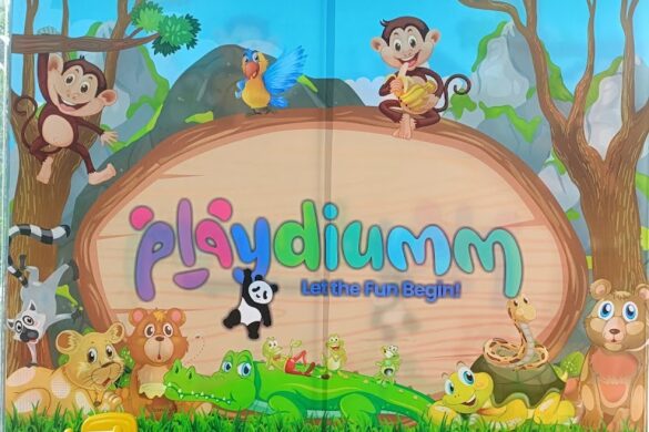 Playdiumm Let The Fun Begin - SillySuitcase