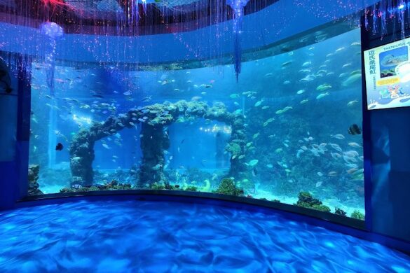Qingdao Polar Ocean World Co Ltd - SillySuitcase