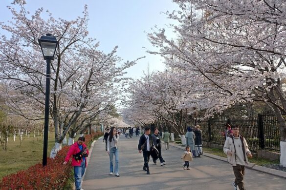 Qingdao Zhongshan Park - SillySuitcase