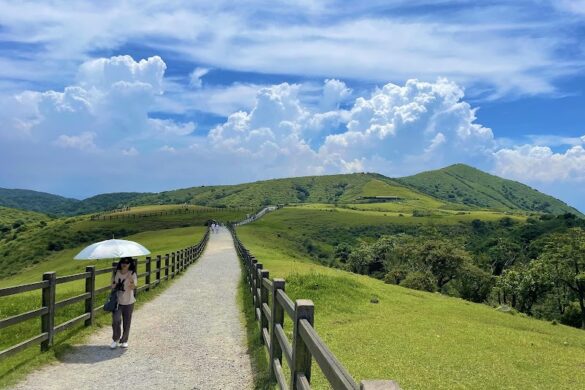 Qingtiangang Grassland - SillySuitcase