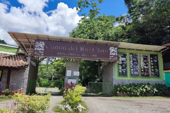 Reserva Natural Ca On Del R O Claro - SillySuitcase
