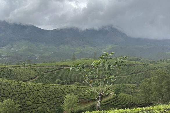 Route49 Adventures Offbeat Experiences - SillySuitcase