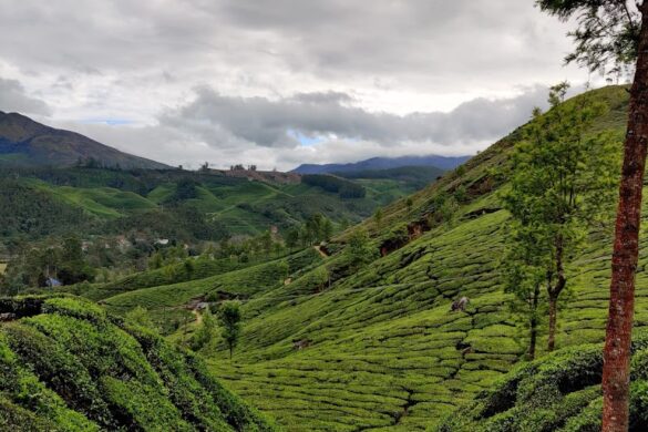 Route49 Adventures Offbeat Experiences - SillySuitcase