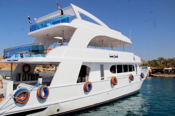 Safari Boat Trip Water Sport Sharm Activities - SillySuitcase