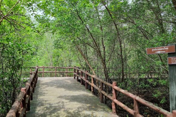 Saline Hot Spring Khlong Thom - SillySuitcase