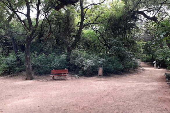 Sanjay Van - SillySuitcase