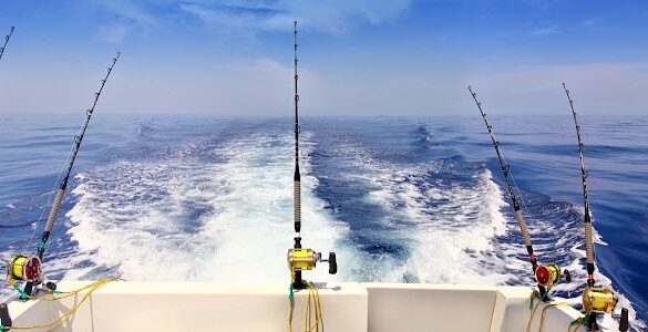 Santorini Fishing Tours - SillySuitcase