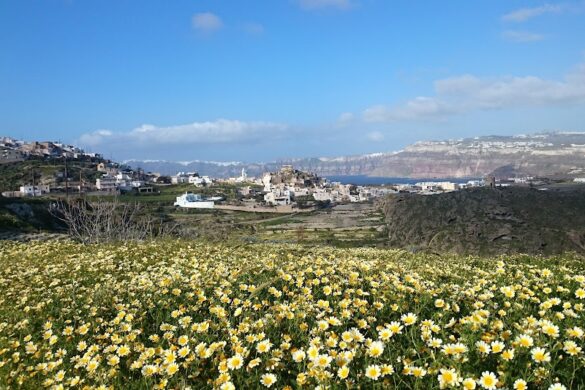 Santorini Walking Tours - SillySuitcase
