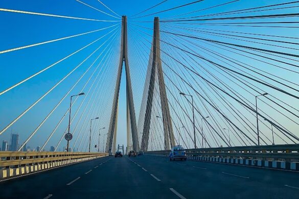 Sealink View - SillySuitcase