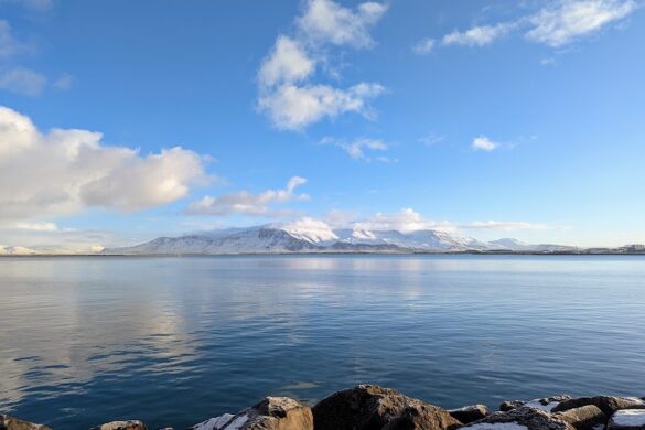 Seaview From Reykjavik - SillySuitcase