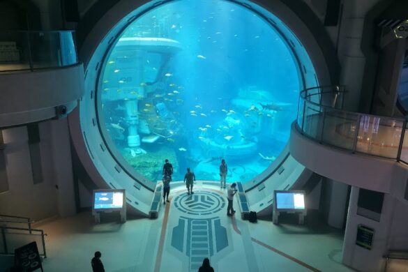 Seaworld Abu Dhabi - SillySuitcase