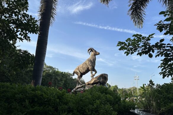 Secretariat Park - SillySuitcase