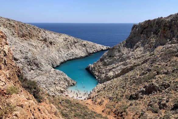 Seitan Limania - SillySuitcase