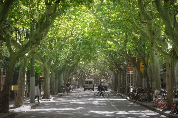 Shanghai French Concession Needle General Yard Former Site - SillySuitcase